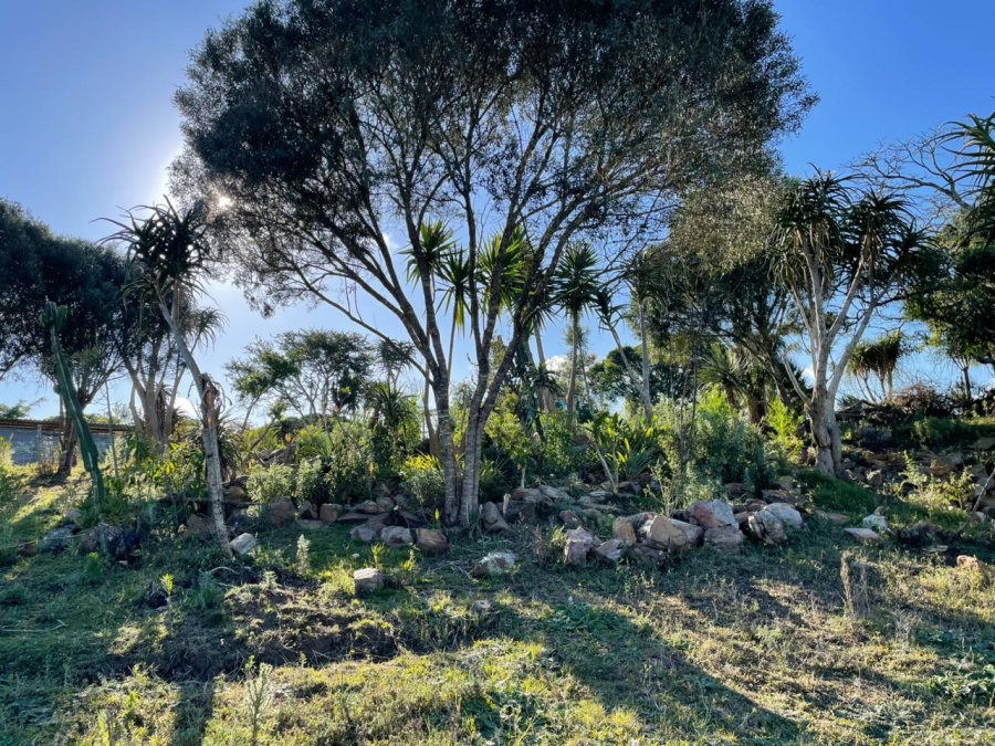 0 Bedroom Property for Sale in Bathurst Eastern Cape